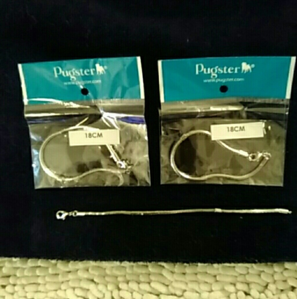 European Styled Charm Bracelets
